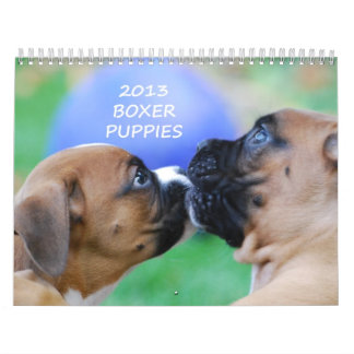 Calendário 2013 do filhote de cachorro do