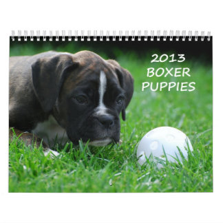 Calendário 2013 do filhote de cachorro do