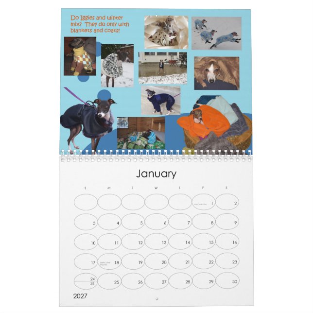 Calendário 2013 do galgo italiano de IGWhisper 2 (Jan 2027)