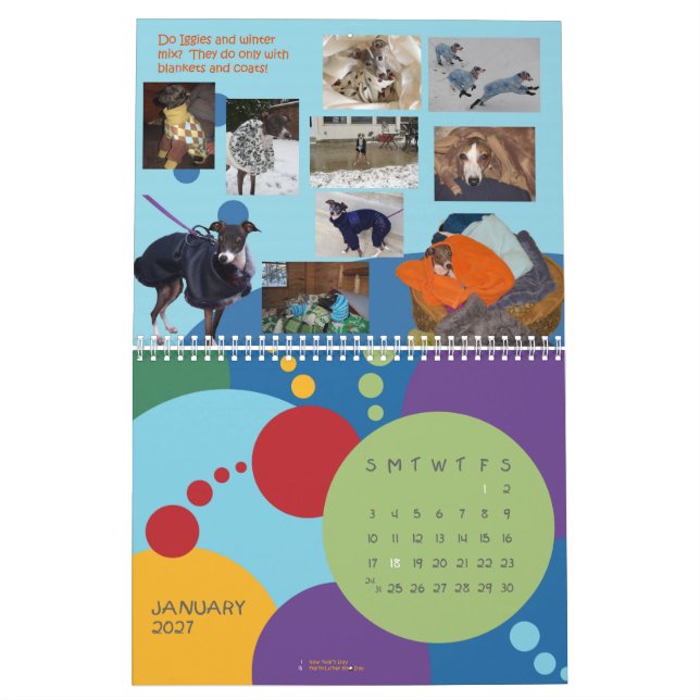 Calendário 2013 do galgo italiano de IGWhispers (Jan 2027)