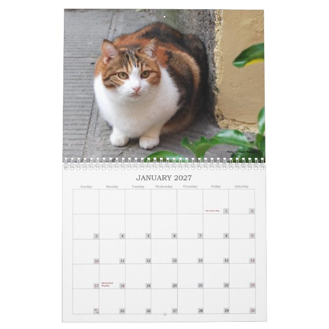 Calendário 2013 do gato (Jan 2027)