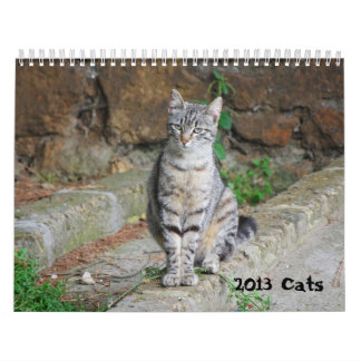 Calendário 2013 do gato