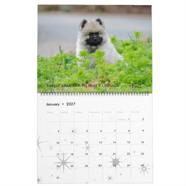 Calendário 2013 do Keeshond da trombeta (Jan 2027)