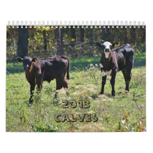 Calendário 2013 vitelas