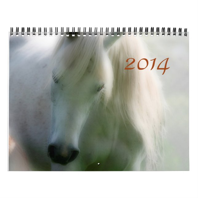 Calendário 2014 Arabians - alegria da vida (Capa)