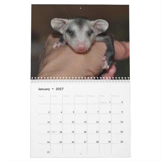 Calendário 2014 - Bebês Possum (Jan 2027)
