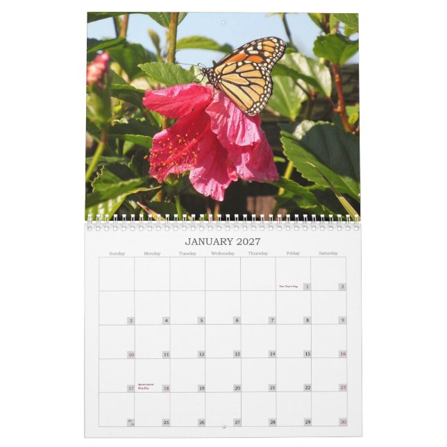 Calendário 2014 da borboleta (Jan 2027)