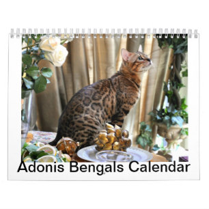 Calendário 2014 de AdonisBengals