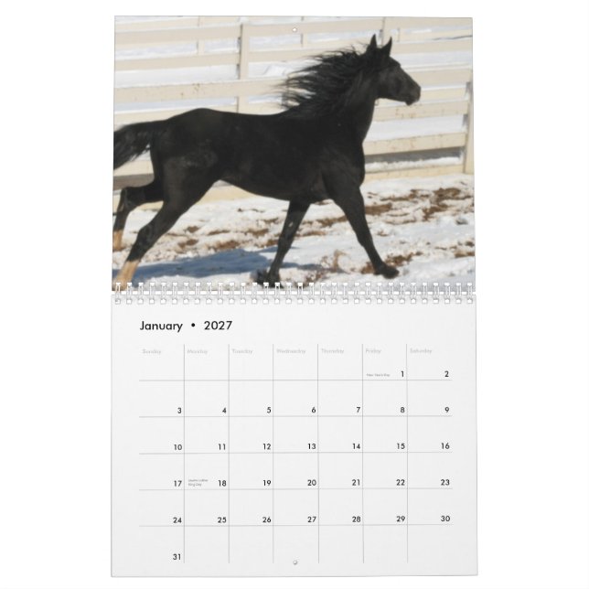 Calendário 2014 do cavalo da montanha (Jan 2027)