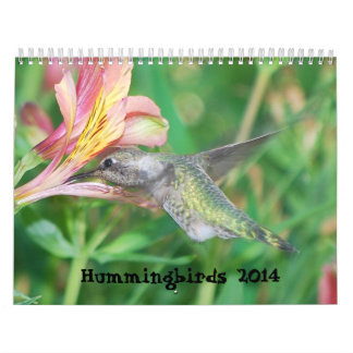 Calendário 2014 do colibri