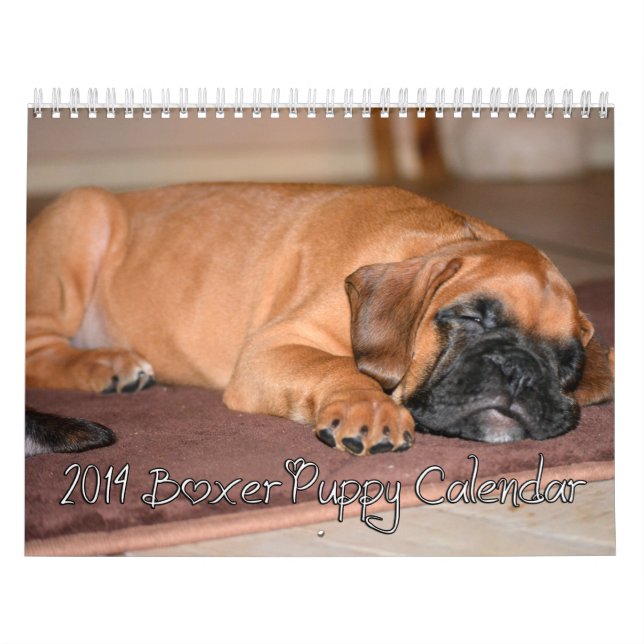 Calendário 2014 do filhote de cachorro do (Capa)