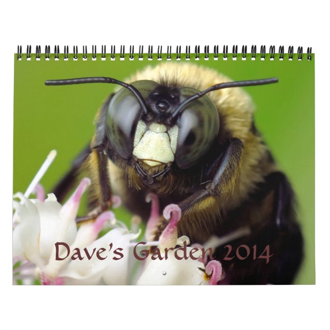 Calendário 2014 do jardim de Dave (Capa)