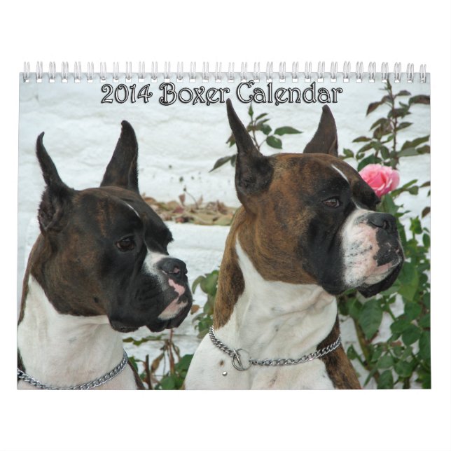 Calendário 2014 do pugilista (Capa)