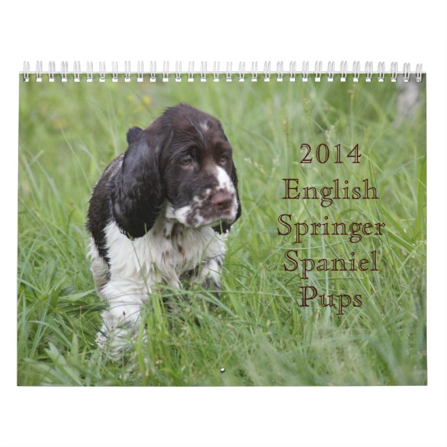 Calendário 2014 filhotes de cachorro do Spaniel de Springer (Capa)