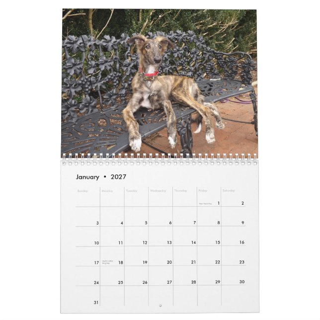 Calendário 2014 filhotes de cachorro macios de Windhound 2-4 (Jan 2027)
