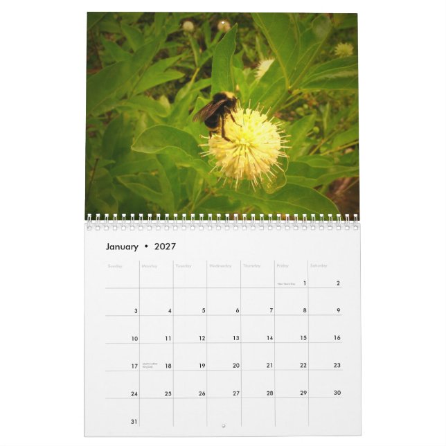 Calendário 2014 meu jardim (Jan 2027)