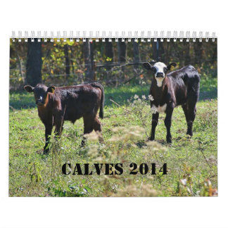 Calendário 2014 vitelas