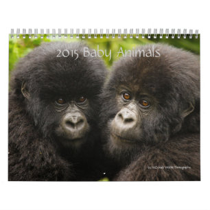Calendário 2015 Baby Animais por McDonald Wildlife Fotografia