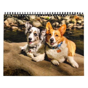 Calendário 2015 com Charlie & Maggie