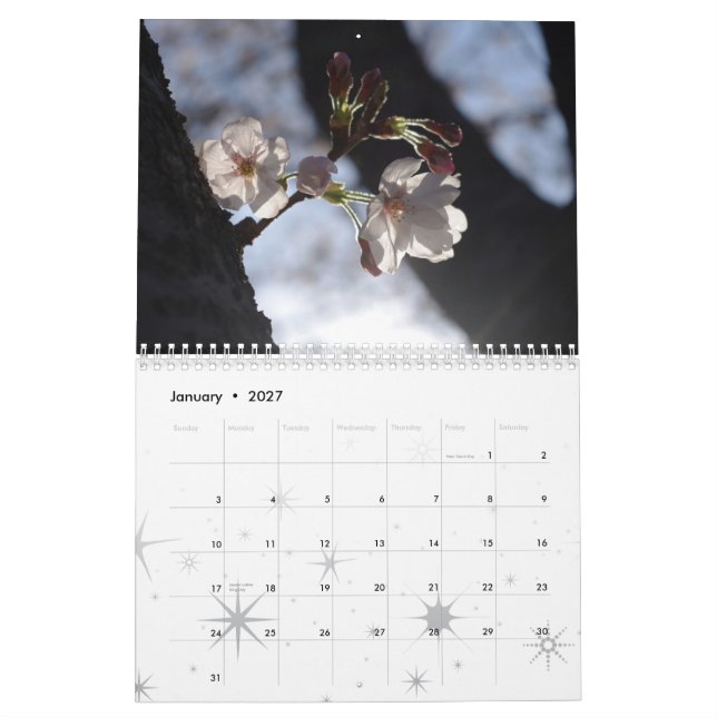 Calendário 2015 da flor de cerejeira (Jan 2027)