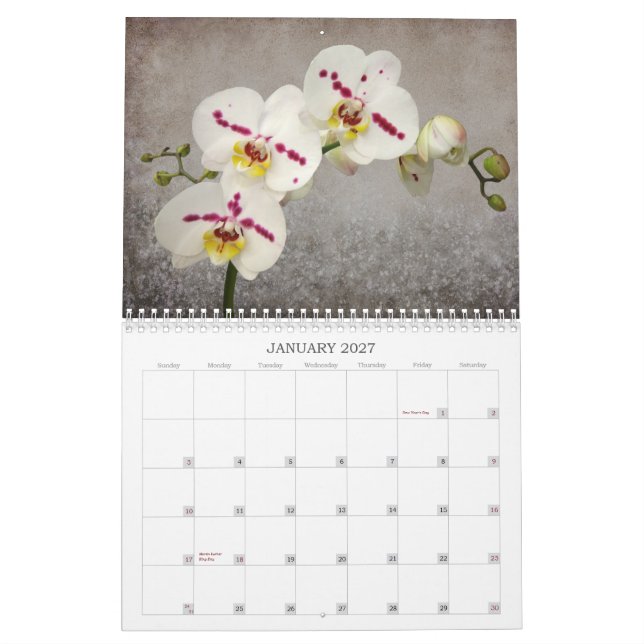 Calendário 2015 da orquídea (Jan 2027)