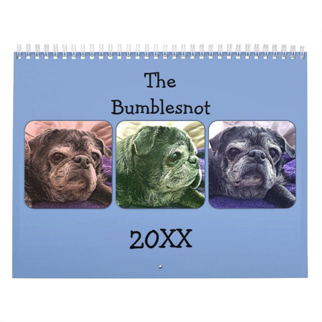 Calendário 2015 de Bumblesnot (Capa)