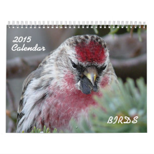 Calendário 2015 de pássaros pequenos
