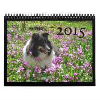 Calendário 2015 de Sheltie