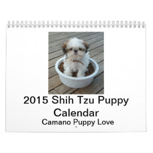 Calendário 2015 do filhote de cachorro de Shih Tz
