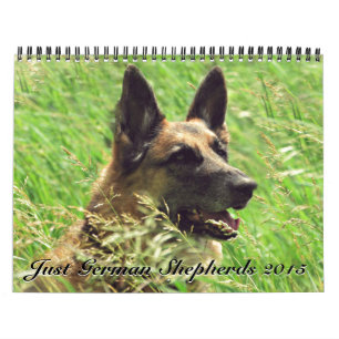 Calendário 2015 do german shepherd