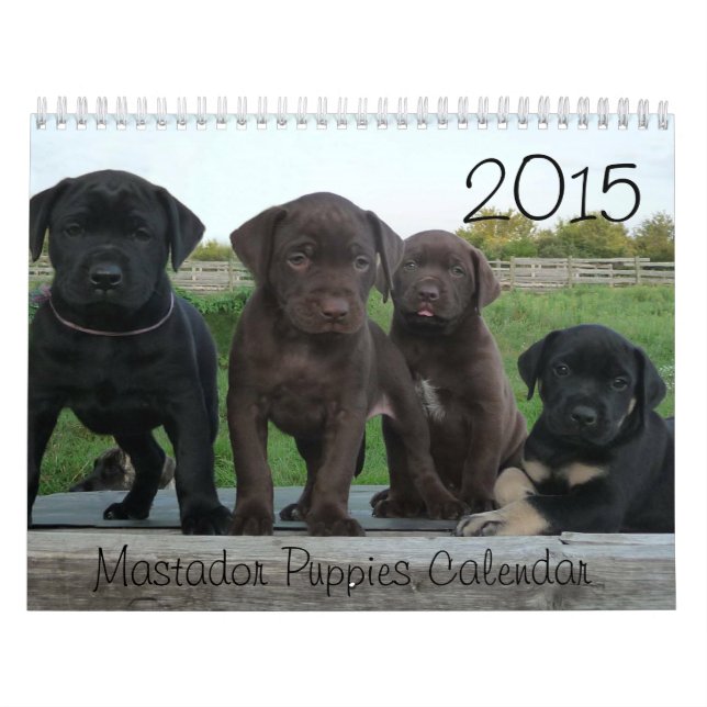 Calendário 2015 dos filhotes de cachorro de (Capa)