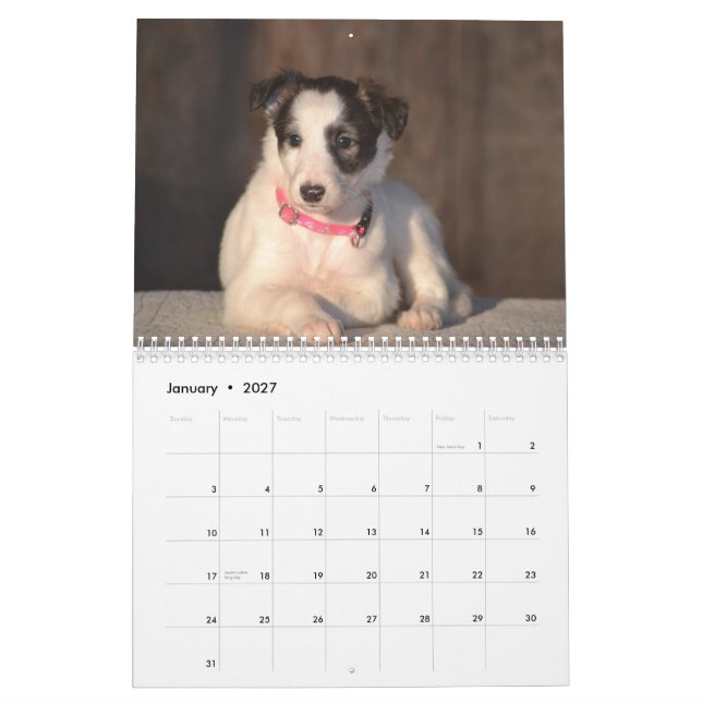 Calendário 2015 filhotes de cachorro macios de Windhound (Jan 2027)