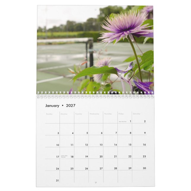 Calendário 2015:  Imagens do tênis (Jan 2027)