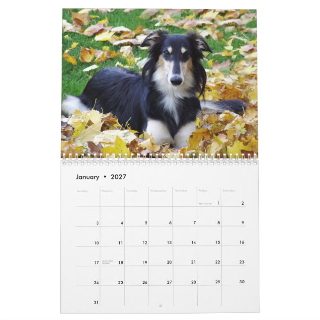 Calendário 2015 Windhounds macios (Jan 2027)
