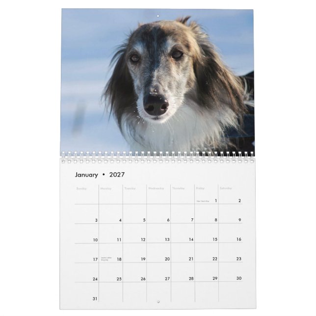 Calendário 2015 Windhounds macios (Jan 2027)