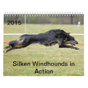 Calendário 2015 Windhounds macios na ação