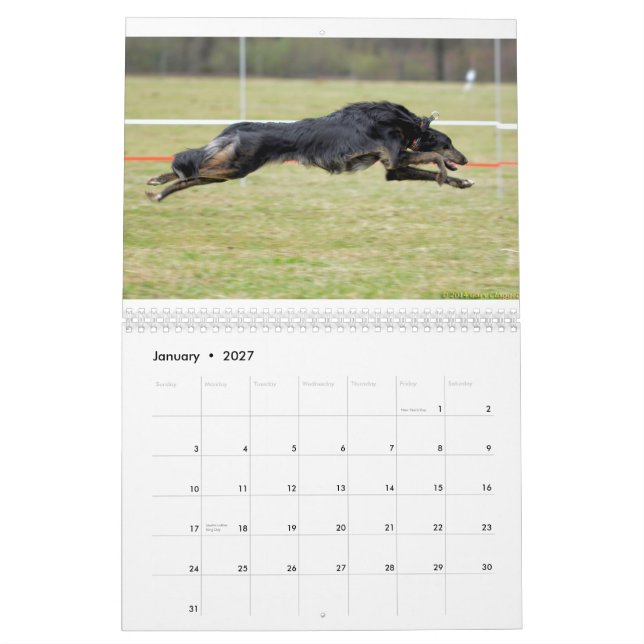 Calendário 2015 Windhounds macios na ação (Jan 2027)