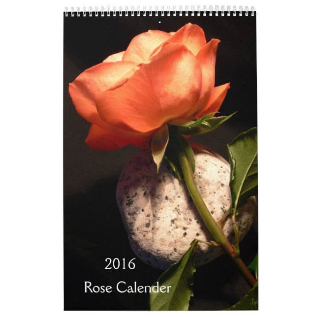 Calendário 2016 cor-de-rosa (Capa)