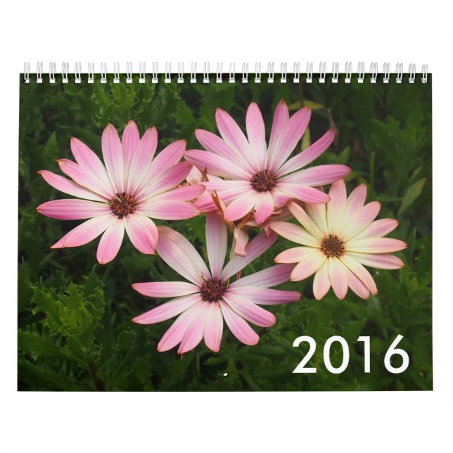 Calendário 2016 da foto (Capa)