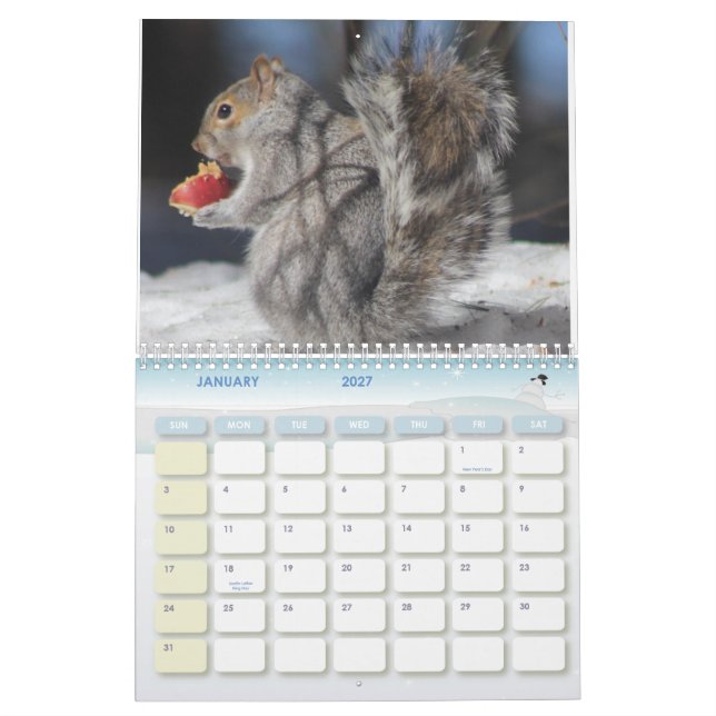Calendário 2016 da foto de Maine (Jan 2027)