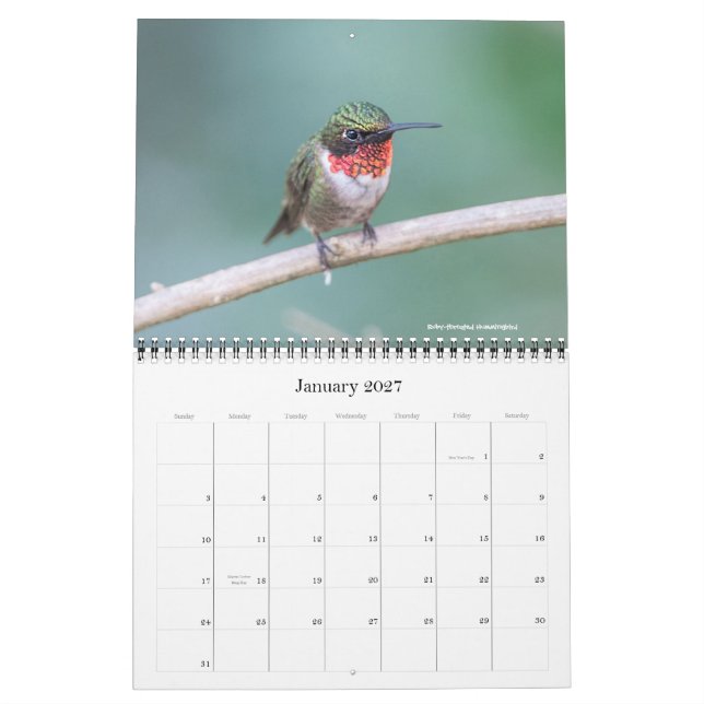 Calendário 2016 do colibri (Jan 2027)