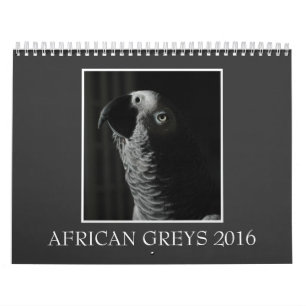 Calendário 2016 do papagaio do cinza africano de