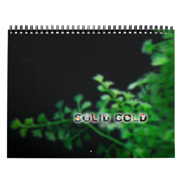 Calendário 2016 do peixe dourado do OURO MACIÇO do (Capa)