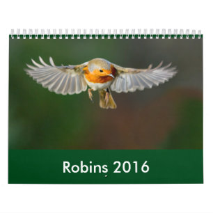 Calendário 2016 do pisco de peito vermelho