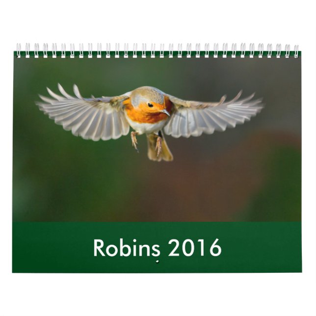 Calendário 2016 do pisco de peito vermelho (Capa)