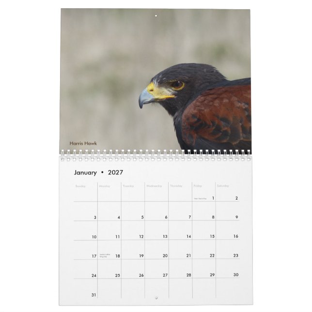 Calendário 2017 - Aves da América do Norte (Jan 2027)