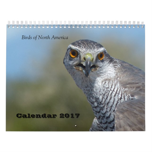 Calendário 2017 - Aves da América do Norte (Capa)