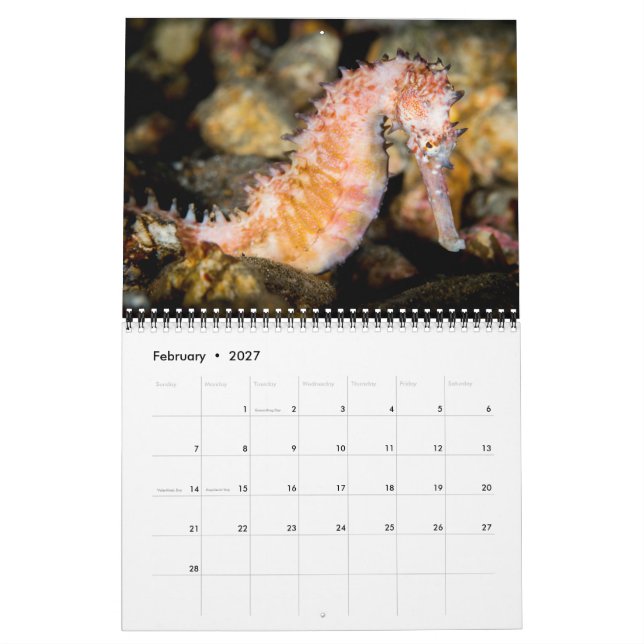 Calendário 2017 Calendar sob o mar (Fev 2027)