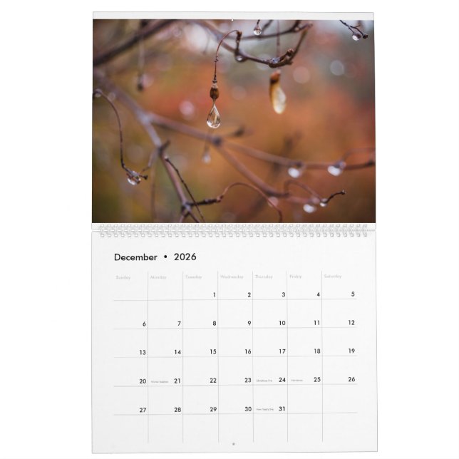 Calendário 2017 calendário, fotos por Eric Johnson (Dez 2026)