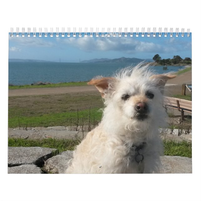 Calendário 2017 de Gwendolyn (Capa)